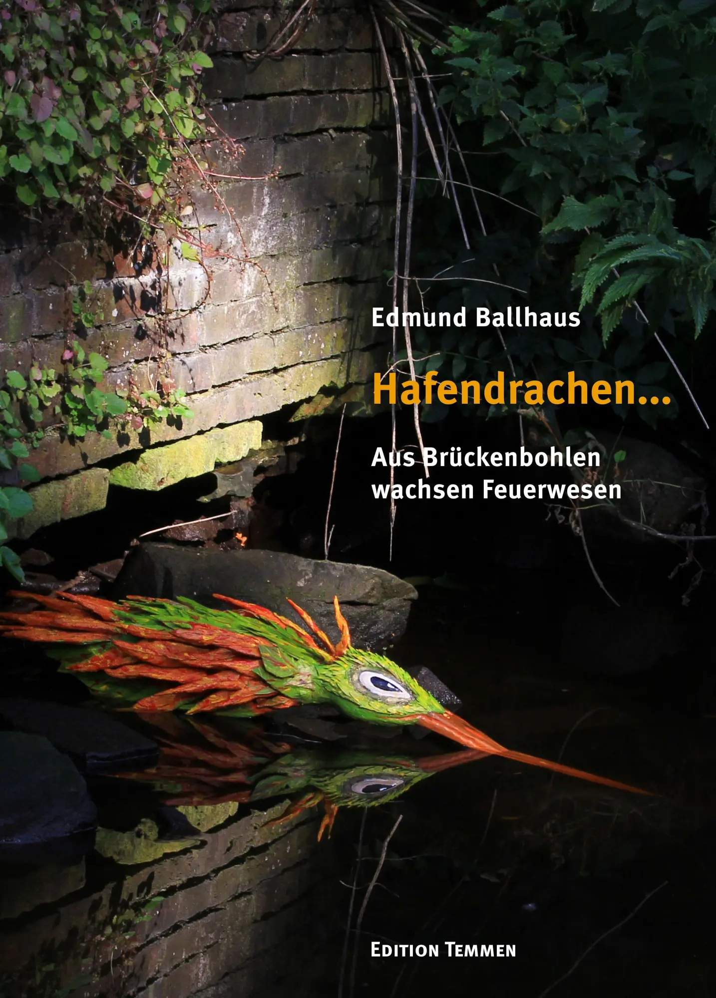 Cover: 9783837850420 | Hafendrachen... | Aus Brückenbohlen wachsen Feuerwesen | Ballhaus