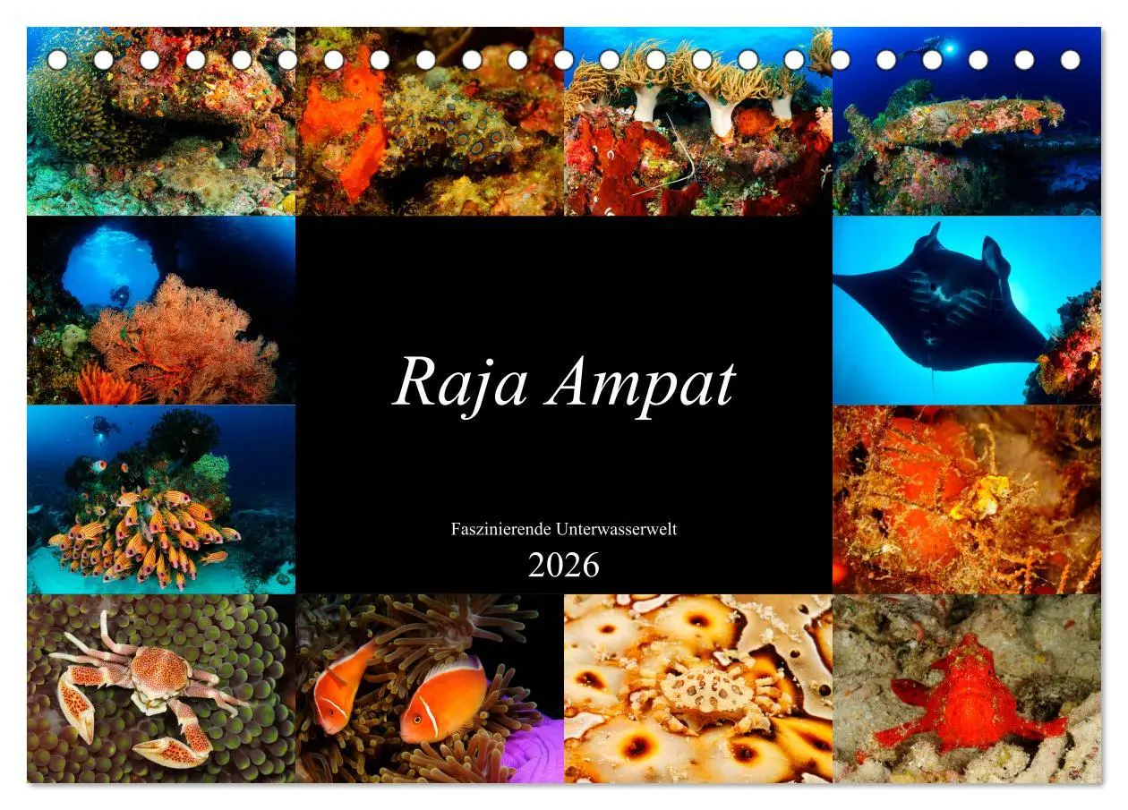 Cover: 9783457750520 | Raja Ampat - Faszinierende Unterwasserwelt (Tischkalender 2026 DIN...