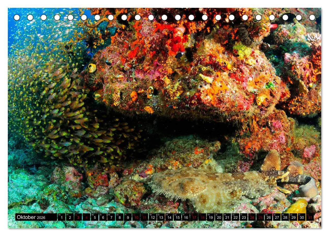 Bild: 9783457750520 | Raja Ampat - Faszinierende Unterwasserwelt (Tischkalender 2026 DIN...
