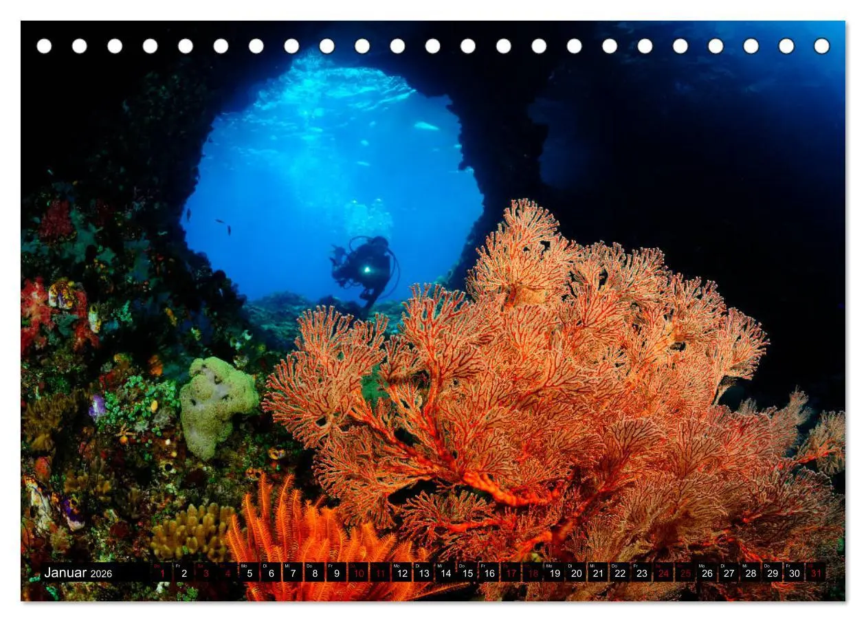 Bild: 9783457750520 | Raja Ampat - Faszinierende Unterwasserwelt (Tischkalender 2026 DIN...