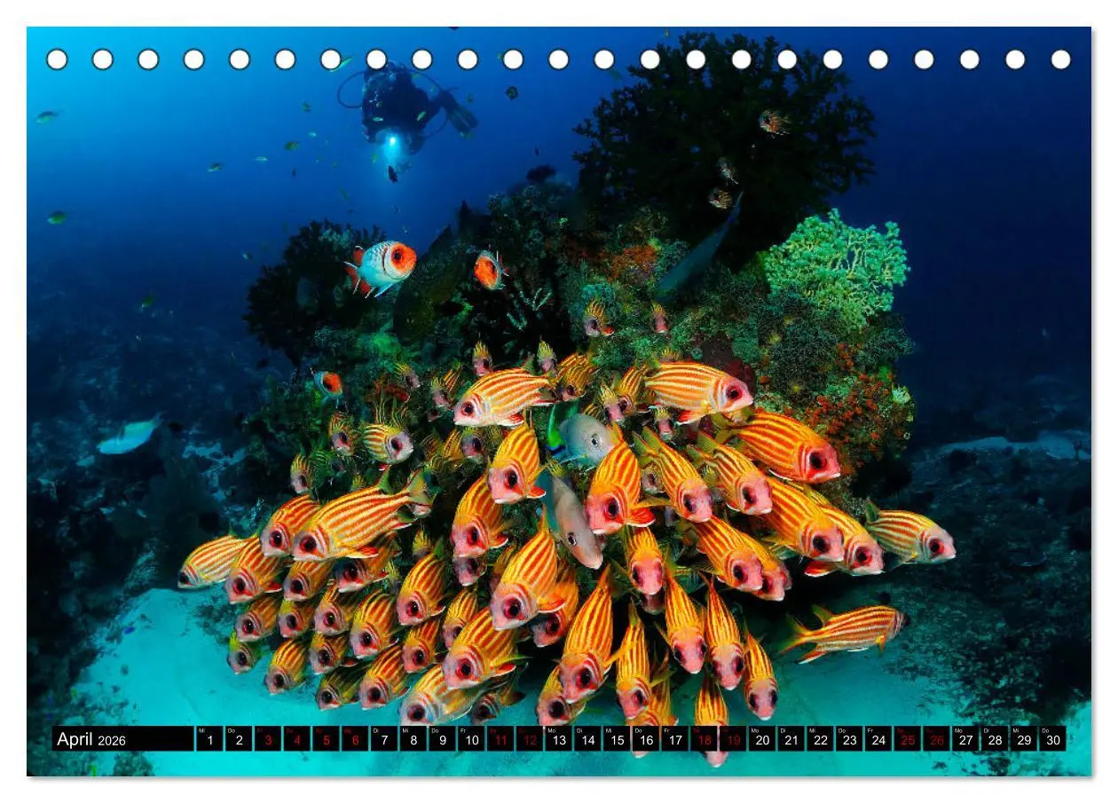 Bild: 9783457750520 | Raja Ampat - Faszinierende Unterwasserwelt (Tischkalender 2026 DIN...