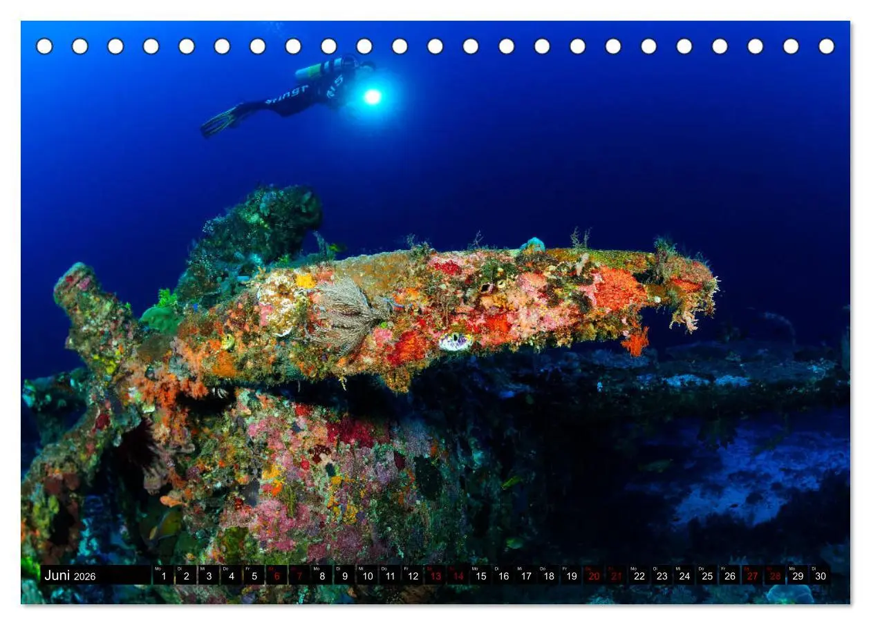 Bild: 9783457750520 | Raja Ampat - Faszinierende Unterwasserwelt (Tischkalender 2026 DIN...