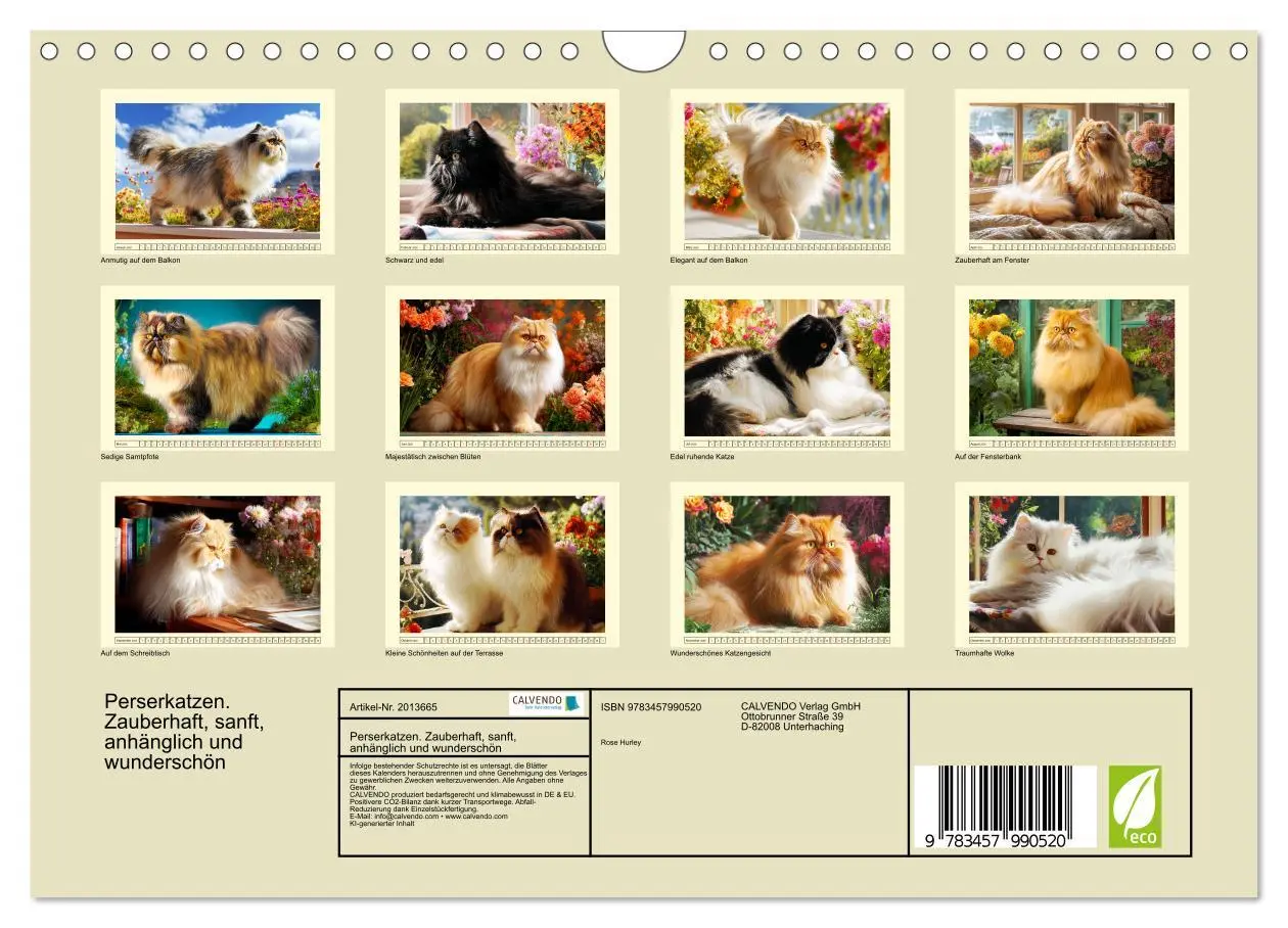 Bild: 9783457990520 | Perserkatzen. Zauberhaft, sanft, anhänglich und wunderschön...