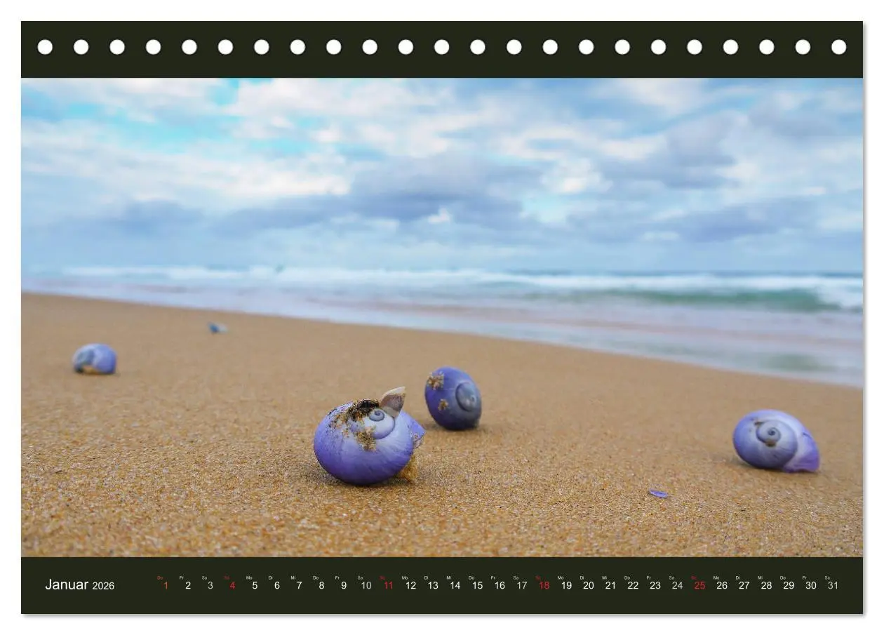 Bild: 9783516150520 | Australien - Farbige Vielfalt (Tischkalender 2026 DIN A5 quer),...