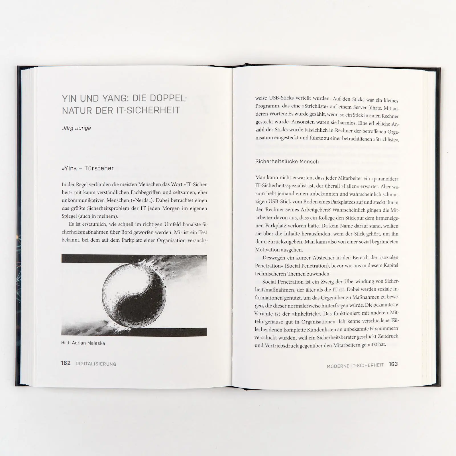 Bild: 9783593520520 | Digitalisierung | Peter Tinnemann (u. a.) | Buch | 240 S. | Deutsch