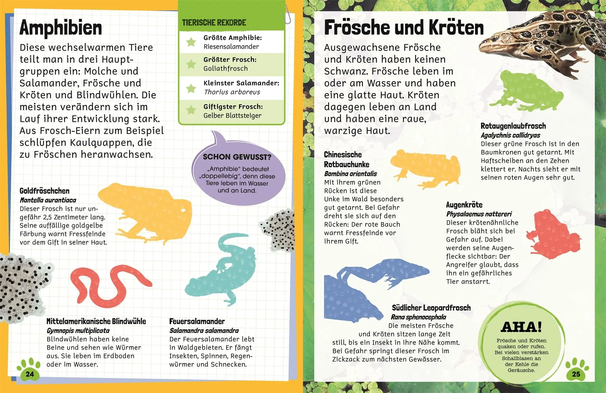 Bild: 9783831040520 | Sticker-Lexikon. Tiere | Mit über 600 Stickern für Kinder ab 4 Jahren