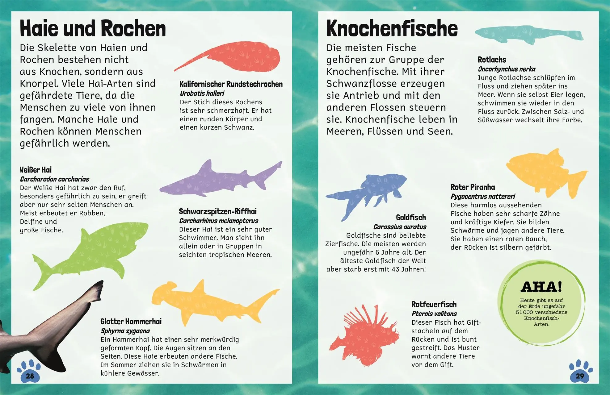 Bild: 9783831040520 | Sticker-Lexikon. Tiere | Mit über 600 Stickern für Kinder ab 4 Jahren