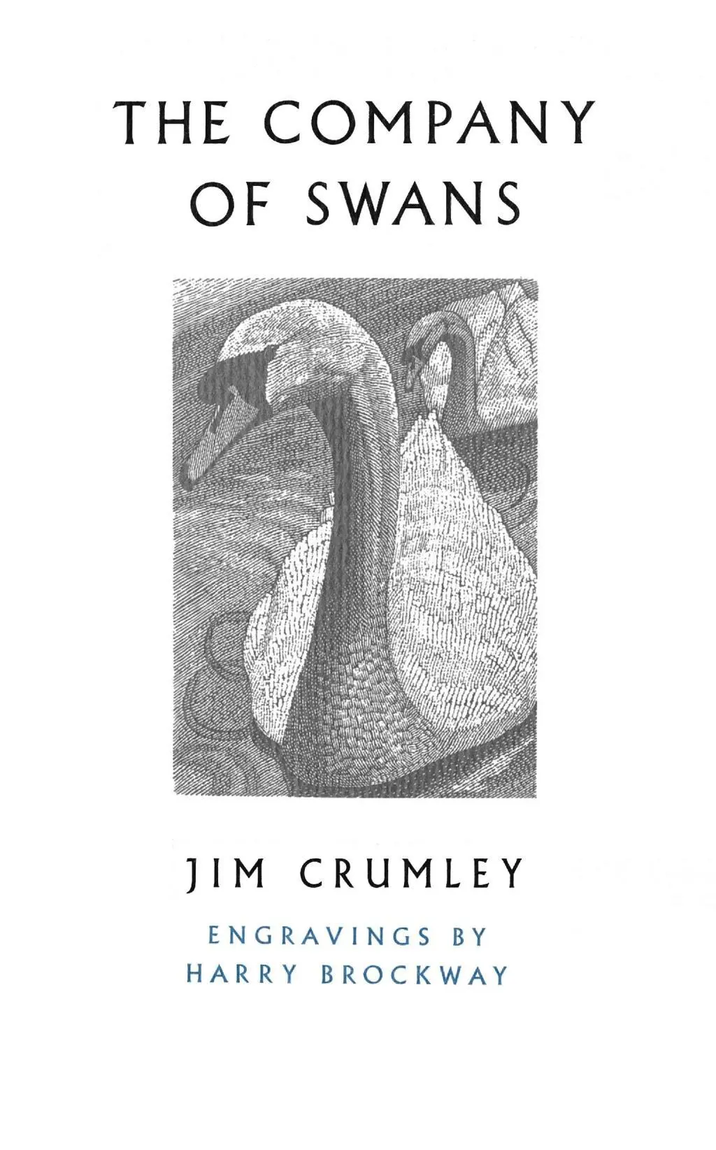 Cover: 9781787300620 | The Company of Swans | Jim Crumley | Taschenbuch | Englisch | 2017