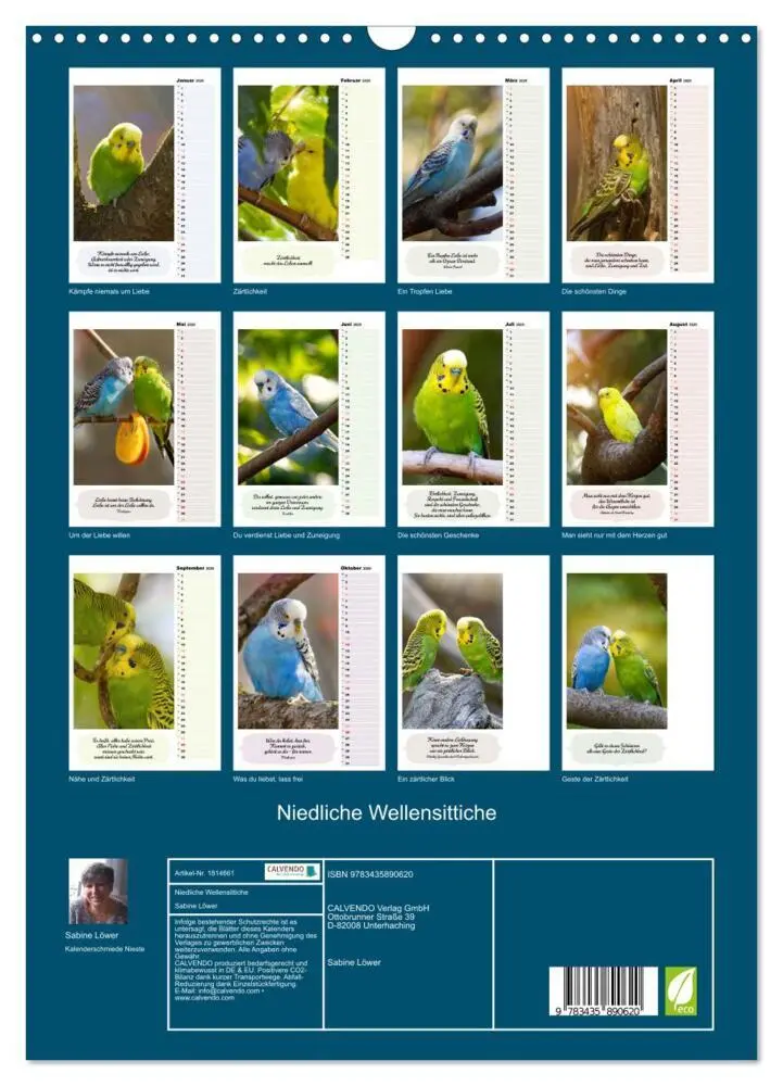 Bild: 9783435890620 | Niedliche Wellensittiche (Wandkalender 2025 DIN A3 hoch), CALVENDO...