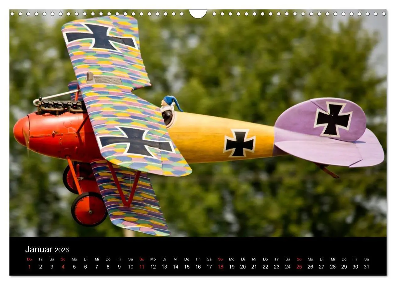 Bild: 9783516140620 | Modellflieger (Wandkalender 2026 DIN A3 quer), CALVENDO Monatskalender