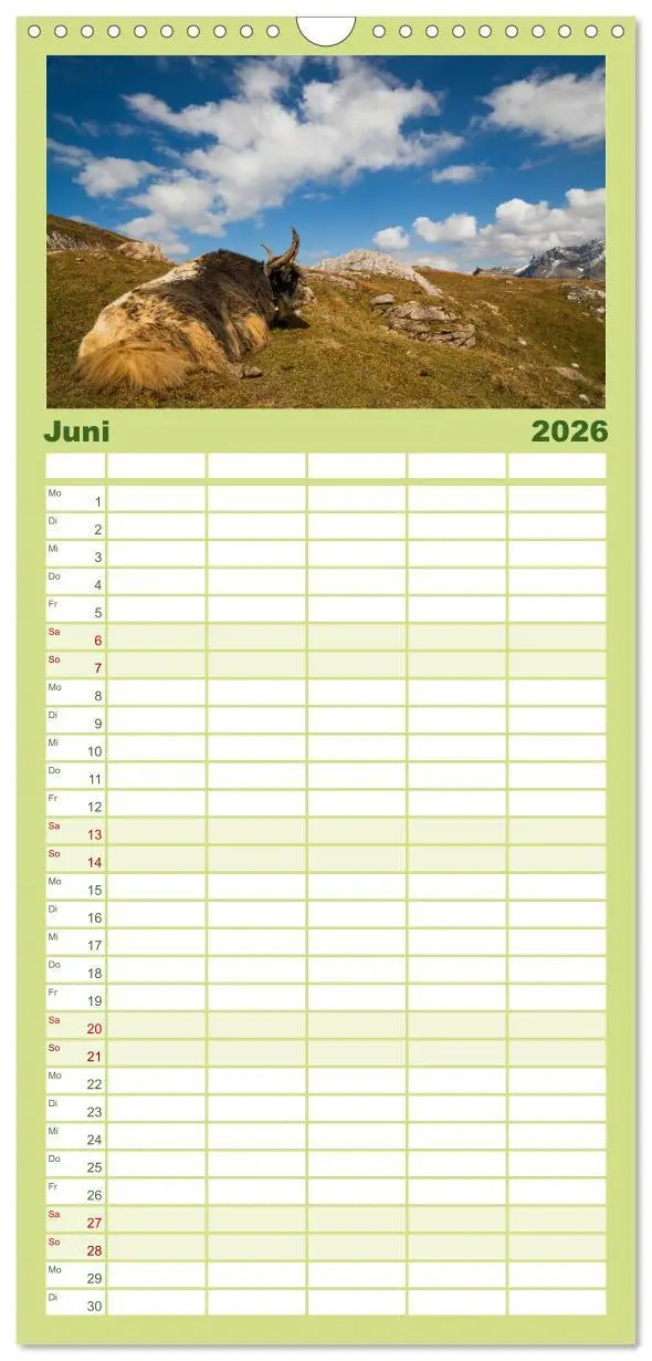 Bild: 9783516520620 | Familienplaner 2026 - Tierkalender 2026 mit 5 Spalten...