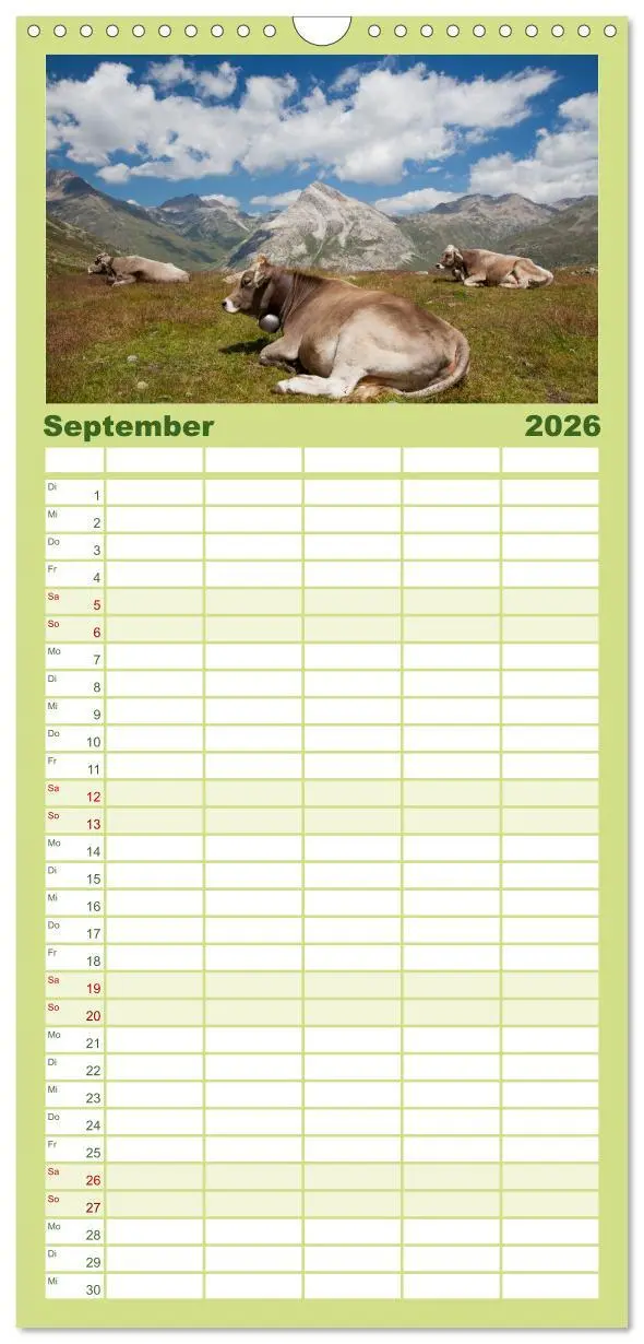 Bild: 9783516520620 | Familienplaner 2026 - Tierkalender 2026 mit 5 Spalten...