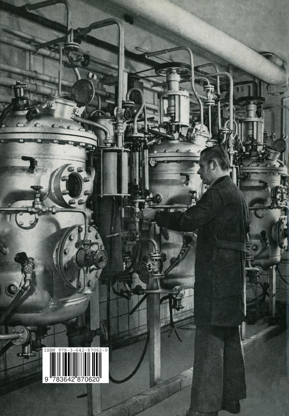 Rückseite: 9783642870620 | Industrielle Enzyme | H. Ruttloff (u. a.) | Taschenbuch | 408 S.