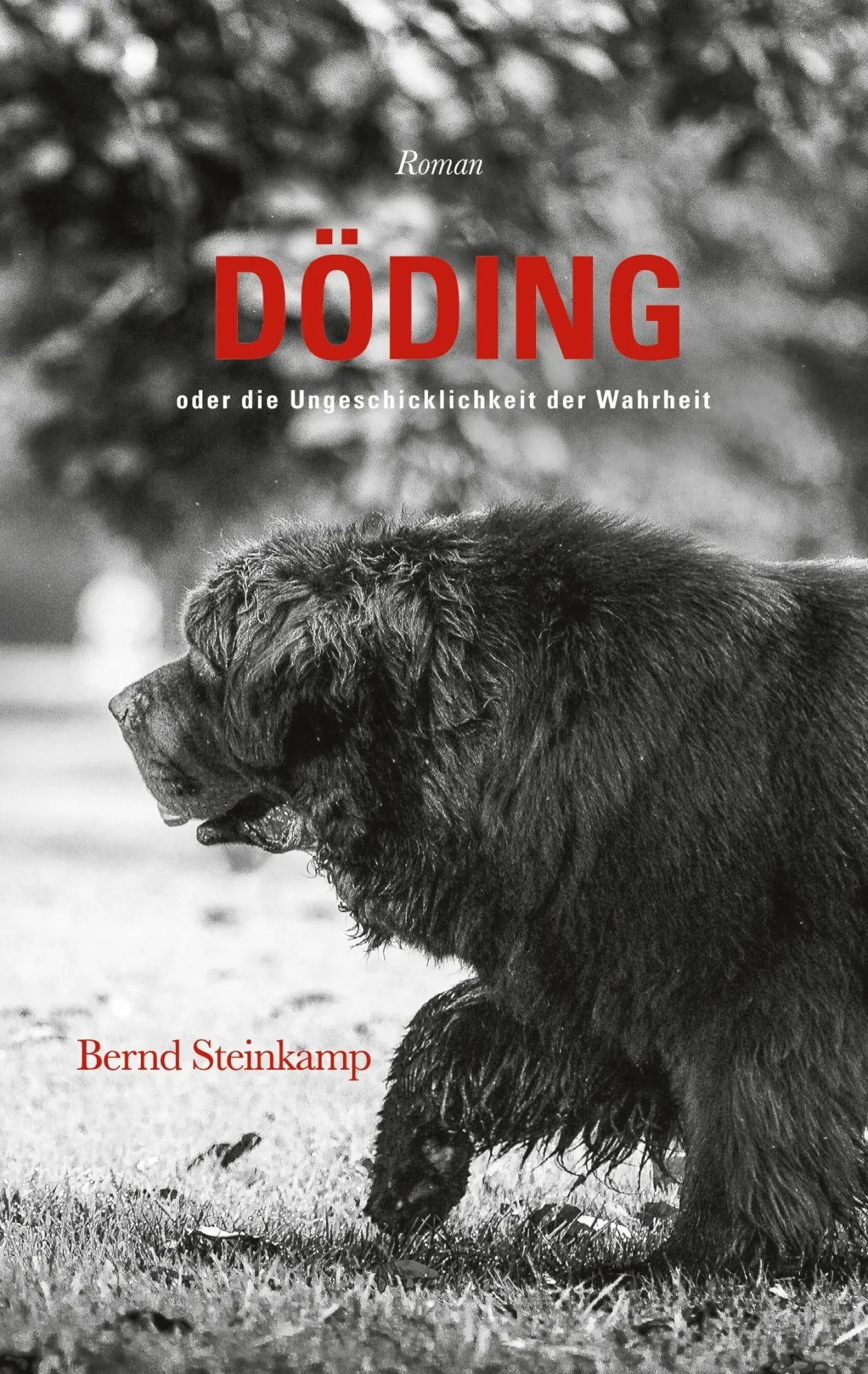 Cover: 9783696710620 | Döding | oder die Ungeschicklichkeit der Wahrheit | Bernd Steinkamp