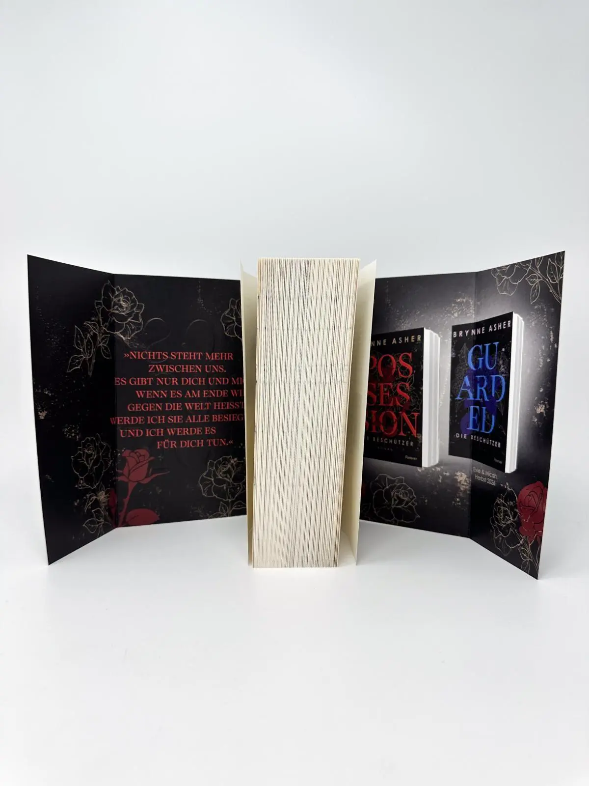 Bild: 9783989780620 | Possession | Brynne Asher | Taschenbuch | 576 S. | Deutsch | 2026