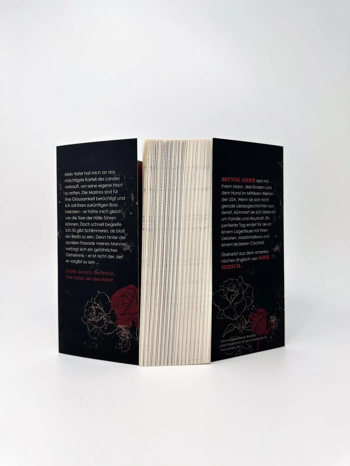 Bild: 9783989780620 | Possession | Brynne Asher | Taschenbuch | 576 S. | Deutsch | 2026