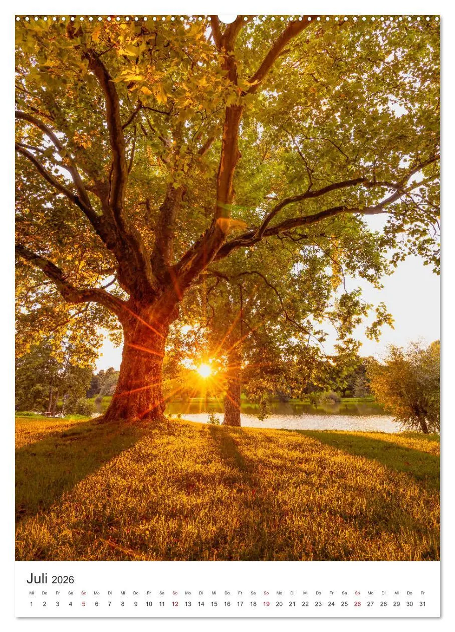Bild: 9783516370720 | Münster - Stadt und Natur (hochwertiger Premium Wandkalender 2026...
