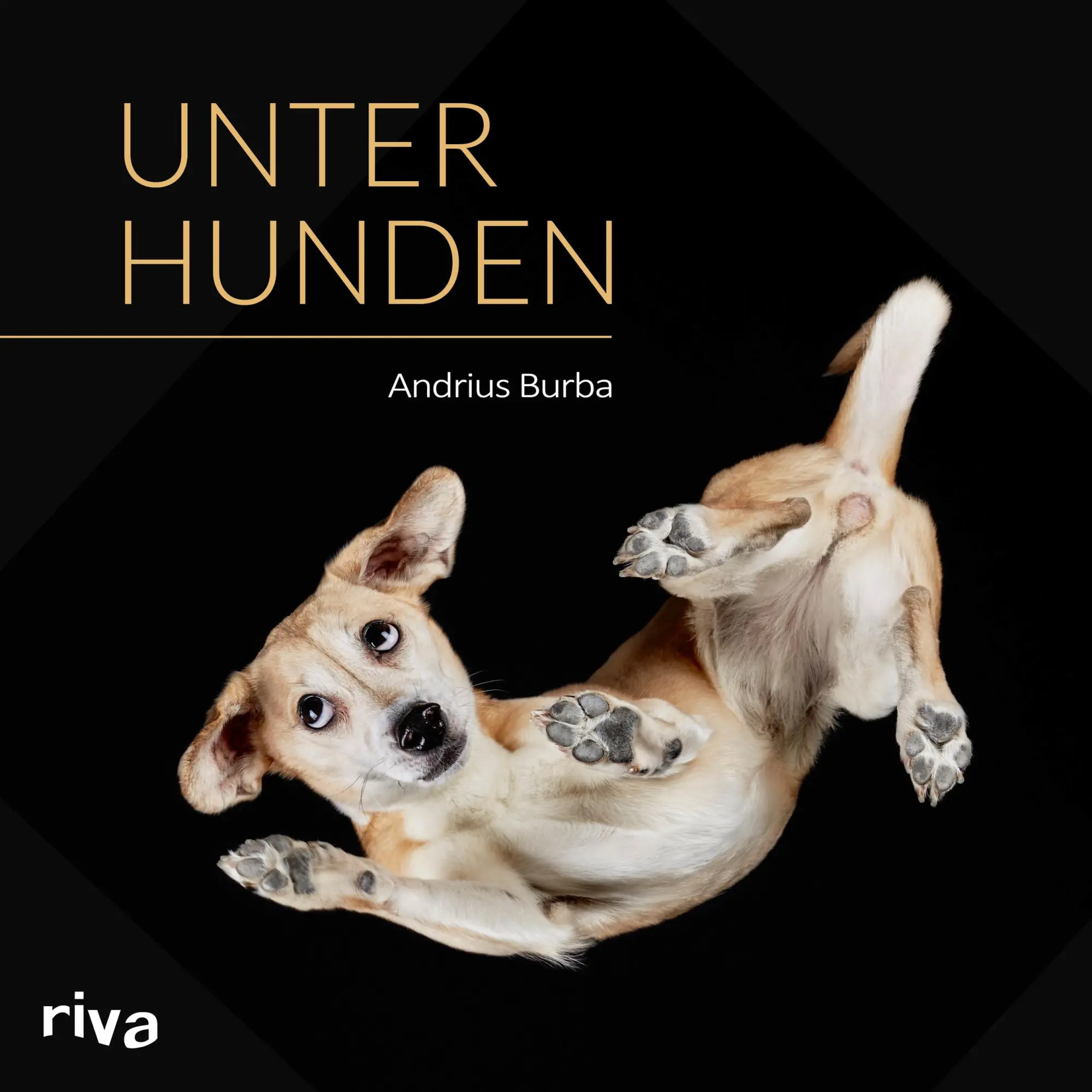 Cover: 9783742300720 | Unter Hunden | Andrius Burba | Buch | 96 S. | Deutsch | 2017
