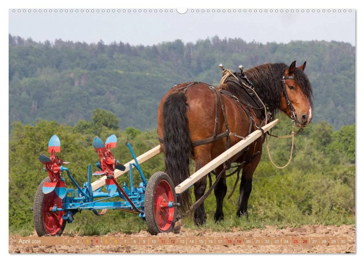 Bild: 9783457650820 | Zugpferde bei der Feldarbeit (hochwertiger Premium Wandkalender...