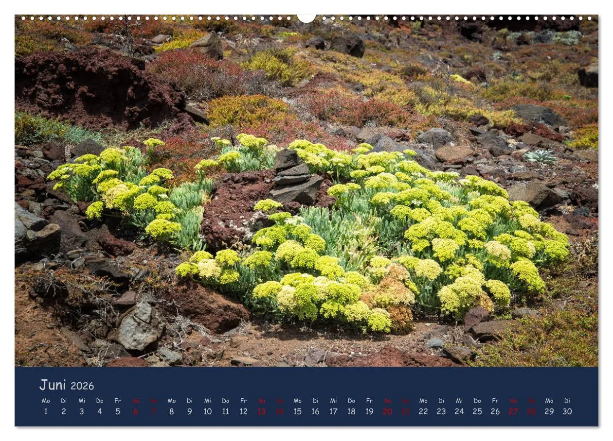 Bild: 9783457890820 | Naturwunder Madeira (Wandkalender 2026 DIN A2 quer), CALVENDO...