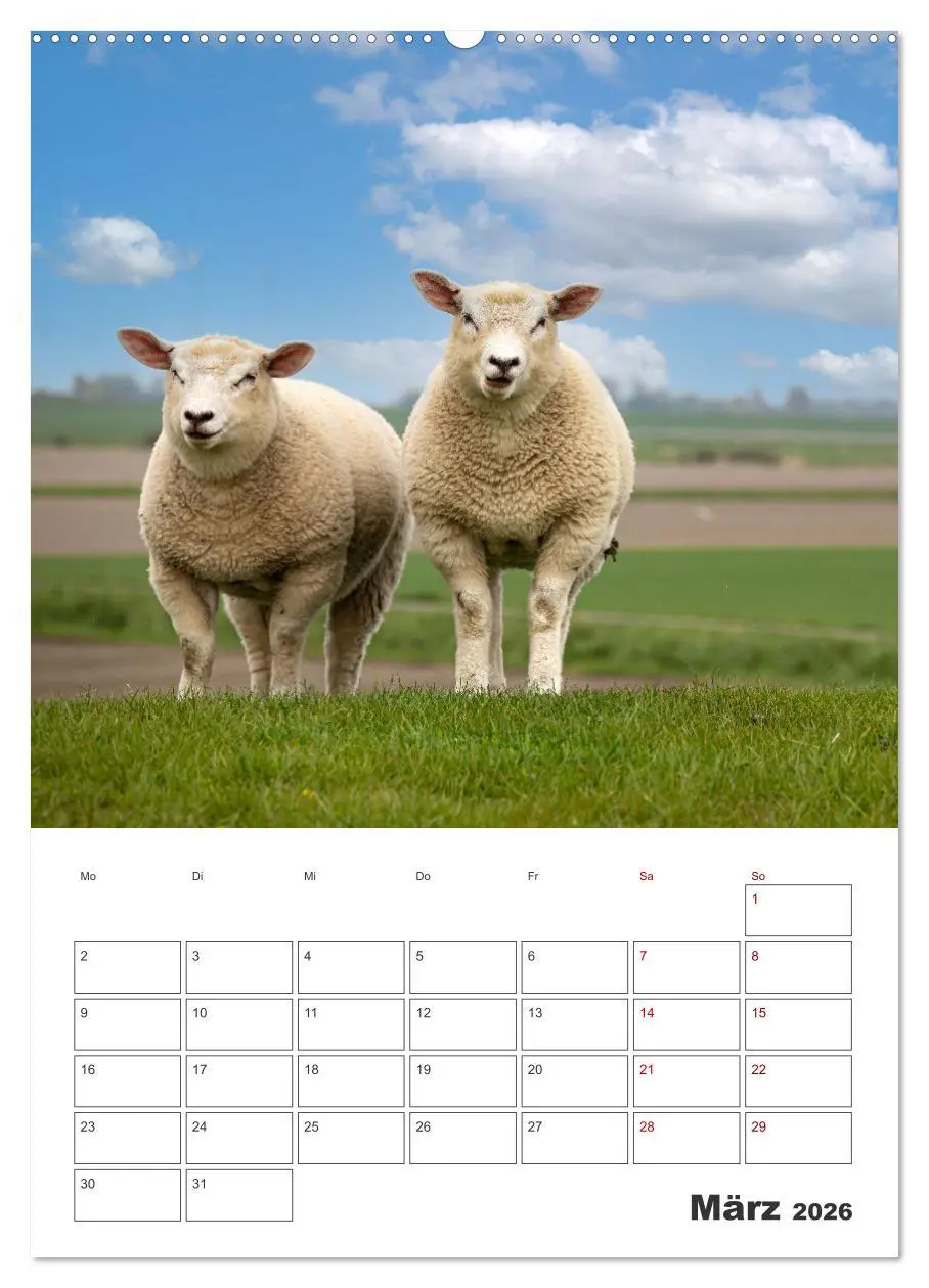Bild: 9783516360820 | Sankt Peter-Ording Sonne, Strand und Meer (Wandkalender 2026 DIN A2...