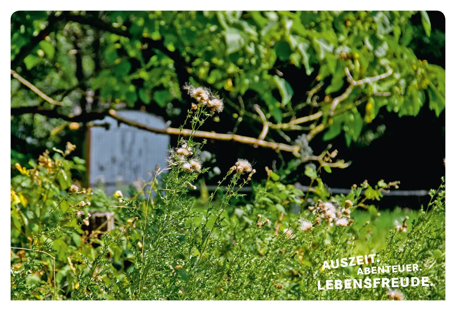 Bild: 9783770180820 | 52 kleine &amp; große Eskapaden am Niederrhein | Ab nach draußen! | Ingala