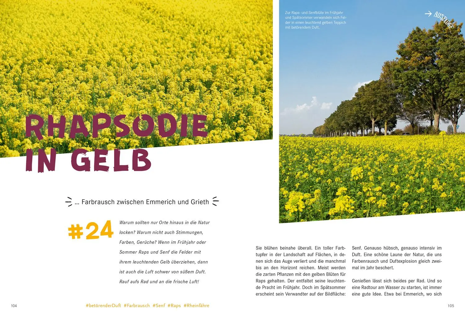 Bild: 9783770180820 | 52 kleine &amp; große Eskapaden am Niederrhein | Ab nach draußen! | Ingala