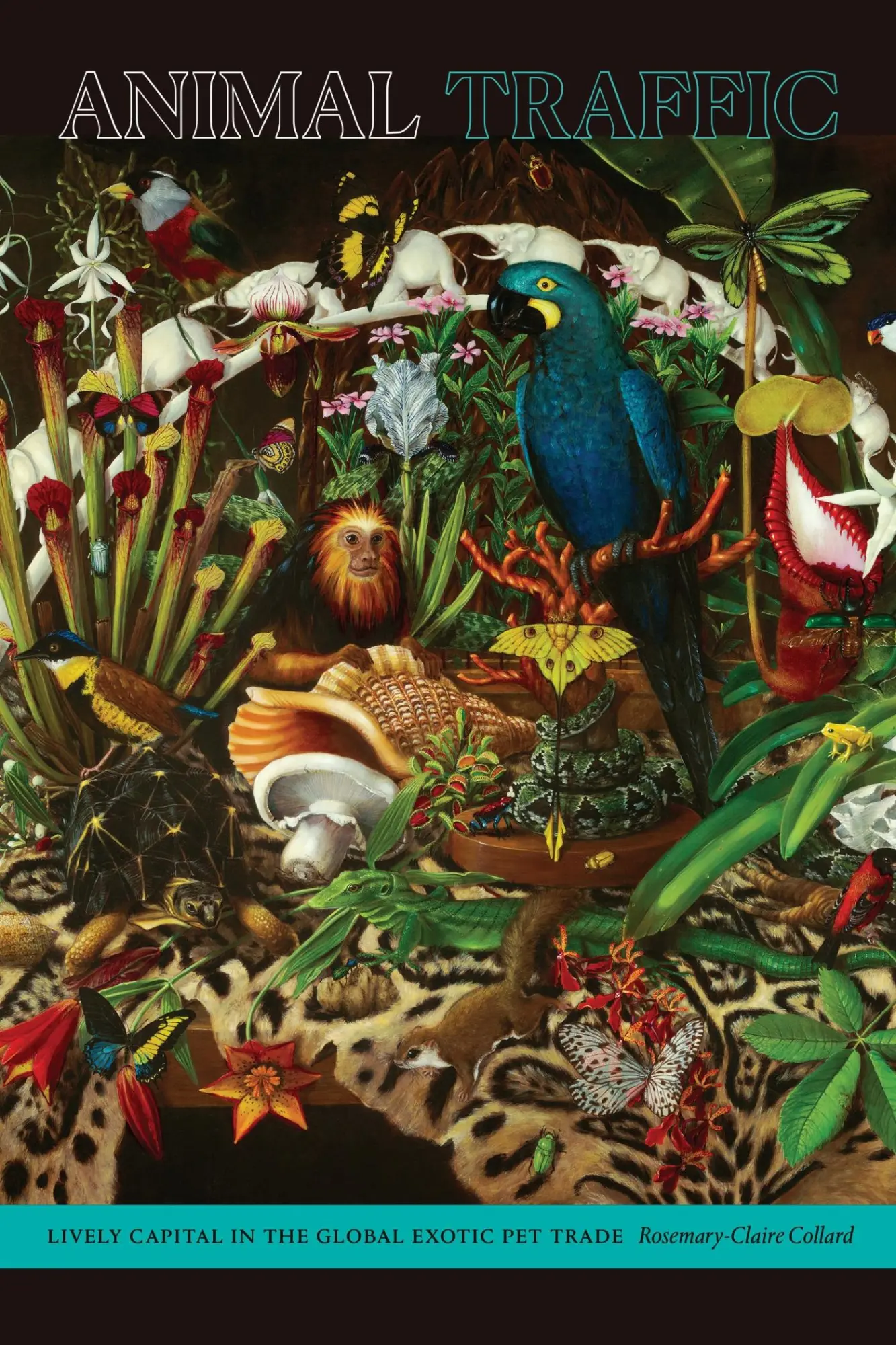 Cover: 9781478010920 | Animal Traffic | Lively Capital in the Global Exotic Pet Trade | Buch