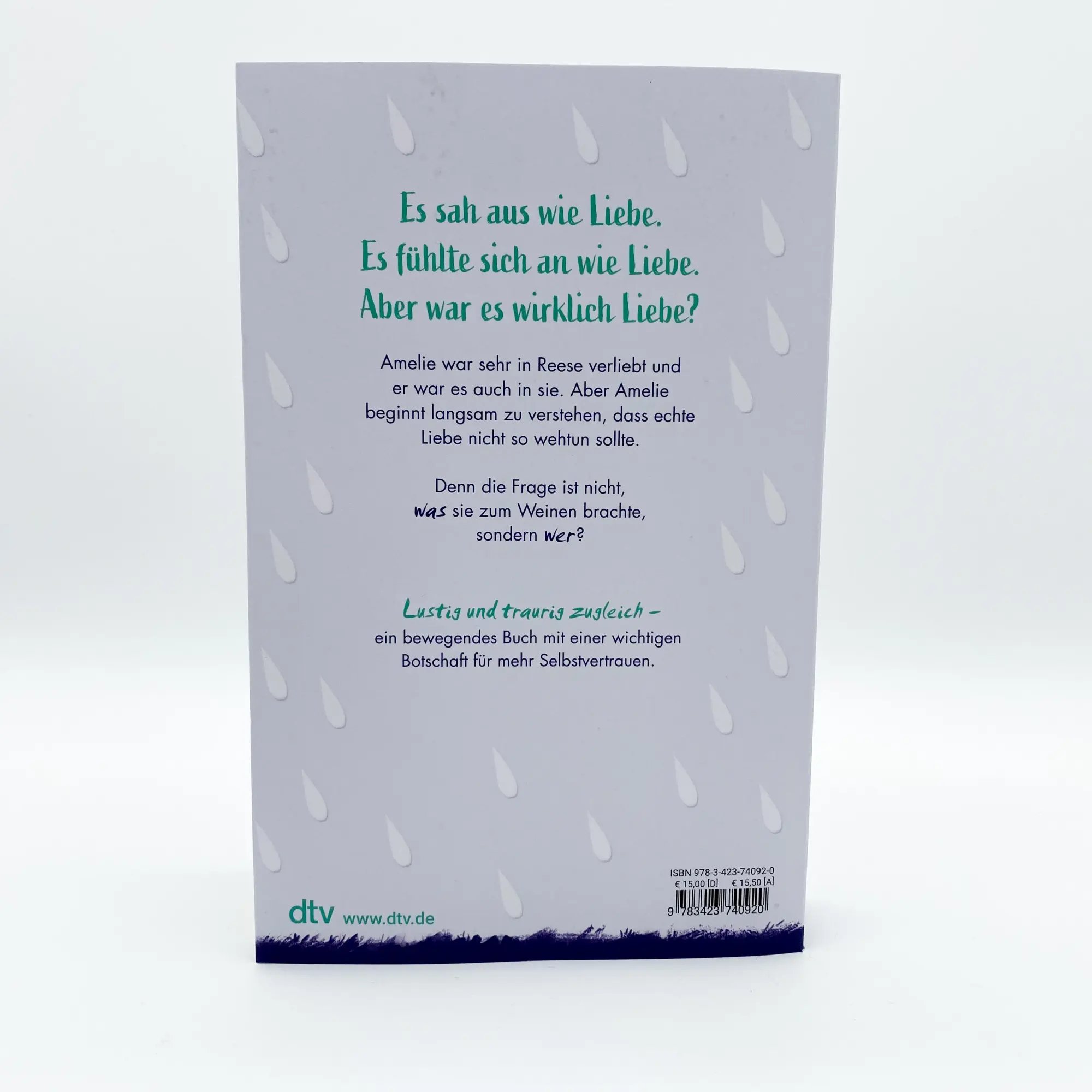 Bild: 9783423740920 | Orte, an denen ich geweint habe (wegen dir) | Holly Bourne | Buch