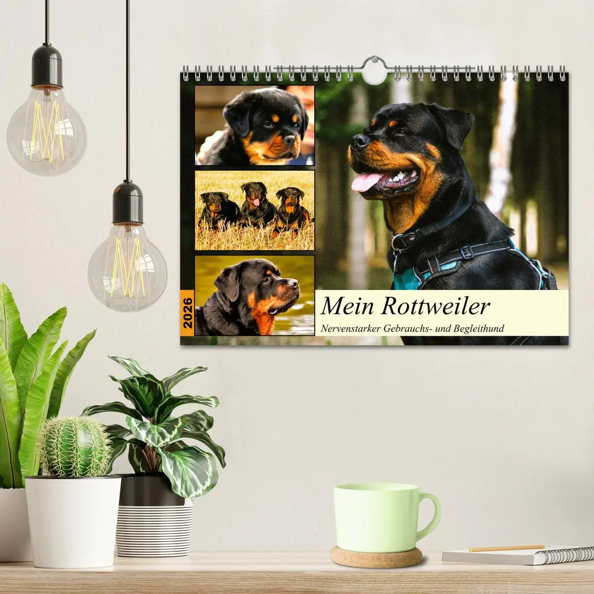 Bild: 9783457570920 | Mein Rottweiler. Nervenstarker Gebrauchs- und Begleithund...