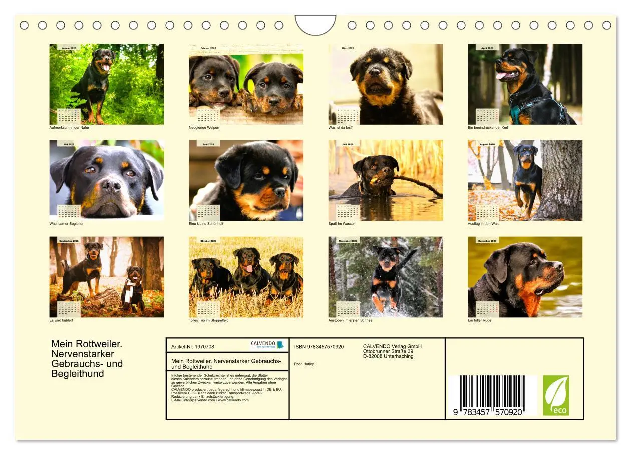 Bild: 9783457570920 | Mein Rottweiler. Nervenstarker Gebrauchs- und Begleithund...