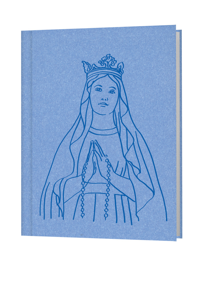 Cover: 9783460440920 | Der kleine biblische Begleiter Madonna | Deutschlands | Buch | 923 S.