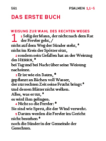 Bild: 9783460440920 | Der kleine biblische Begleiter Madonna | Deutschlands | Buch | 923 S.