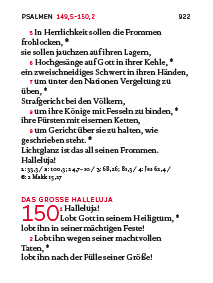 Bild: 9783460440920 | Der kleine biblische Begleiter Madonna | Deutschlands | Buch | 923 S.