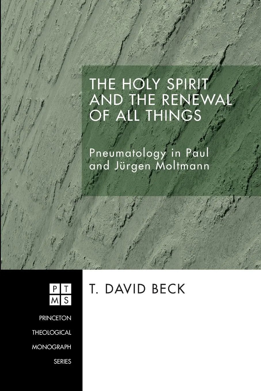 Cover: 9781556351020 | The Holy Spirit and the Renewal of All Things | T. David Beck | Buch