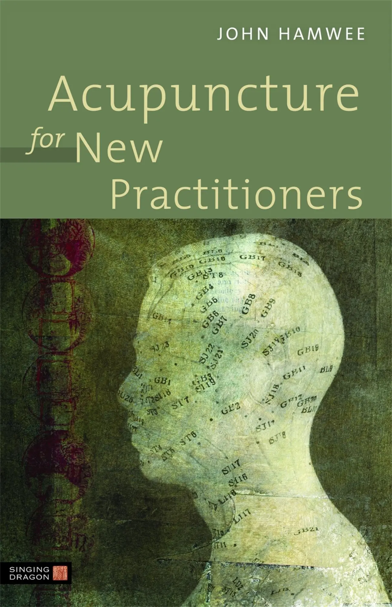Cover: 9781848191020 | Acupuncture for New Practitioners | John Hamwee | Taschenbuch | 2012