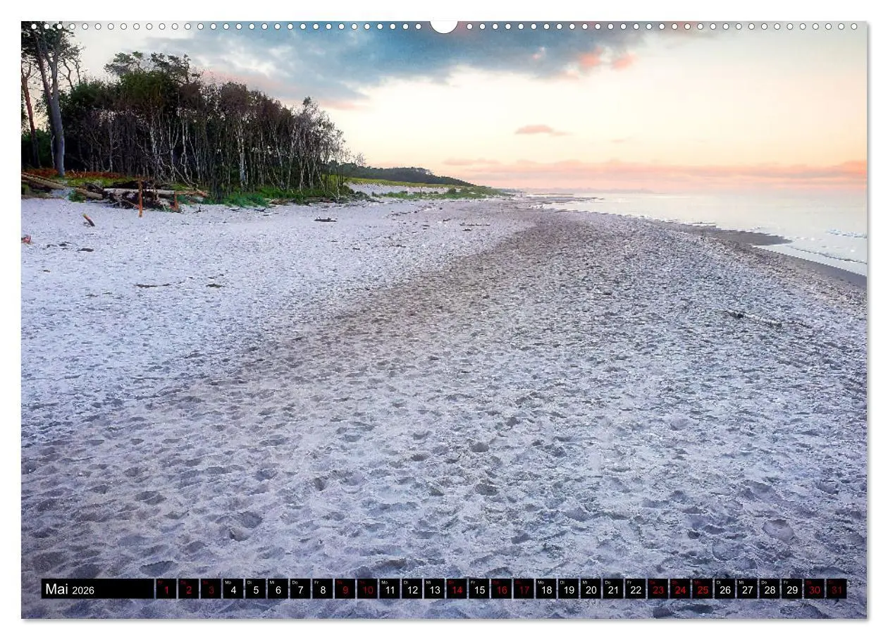 Bild: 9783457911020 | Fischland - Darß- Zingst (Wandkalender 2026 DIN A2 quer), CALVENDO...