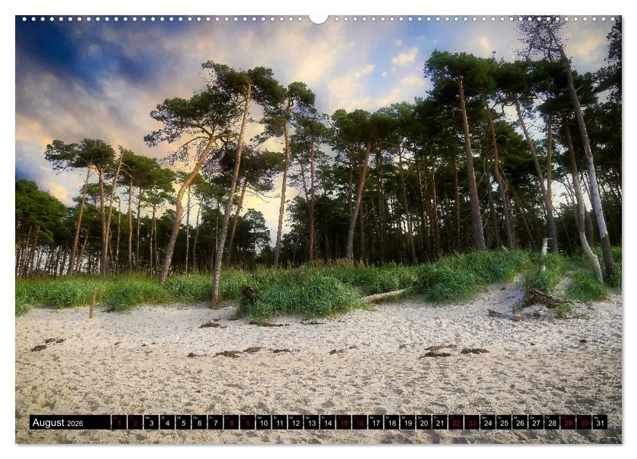 Bild: 9783457911020 | Fischland - Darß- Zingst (Wandkalender 2026 DIN A2 quer), CALVENDO...