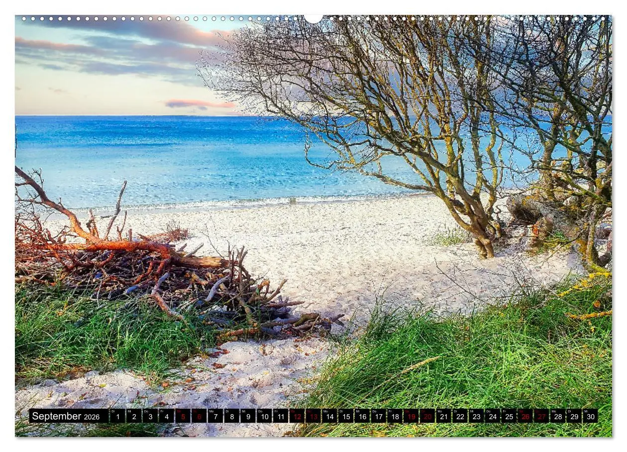 Bild: 9783457911020 | Fischland - Darß- Zingst (Wandkalender 2026 DIN A2 quer), CALVENDO...
