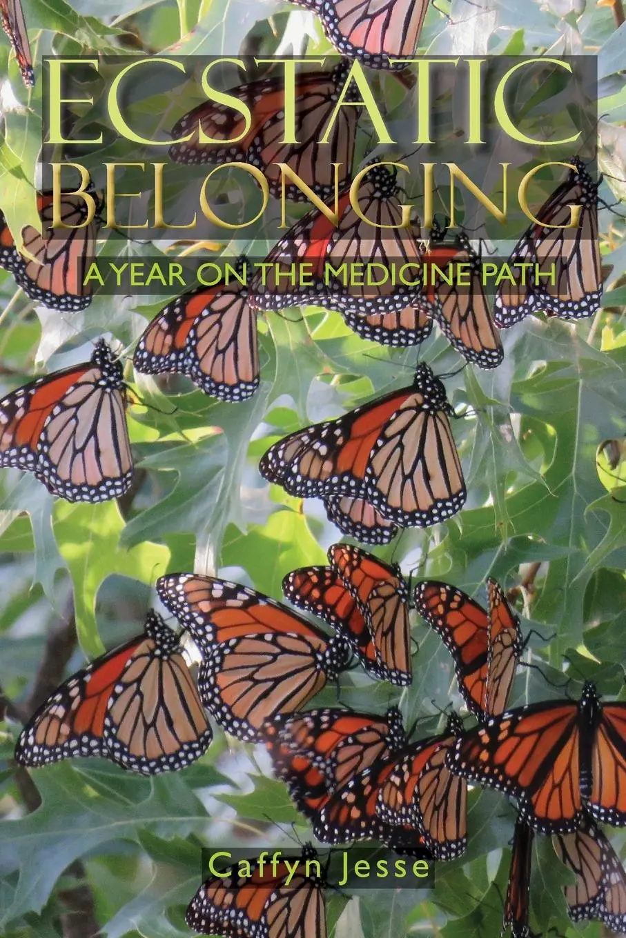 Cover: 9781738121120 | Ecstatic Belonging | A Year on the Medicine Path | Caffyn Jesse | Buch