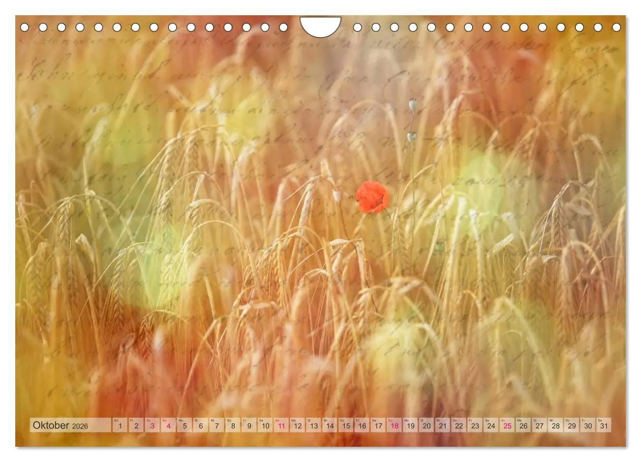 Bild: 9783516161120 | Vintage Nature - Romantische Naturaufnahmen (Wandkalender 2026 DIN...