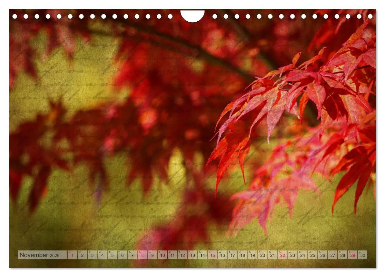 Bild: 9783516161120 | Vintage Nature - Romantische Naturaufnahmen (Wandkalender 2026 DIN...