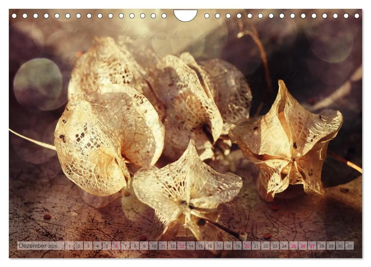 Bild: 9783516161120 | Vintage Nature - Romantische Naturaufnahmen (Wandkalender 2026 DIN...