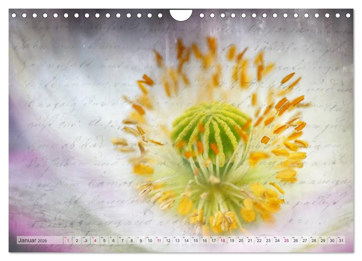 Bild: 9783516161120 | Vintage Nature - Romantische Naturaufnahmen (Wandkalender 2026 DIN...
