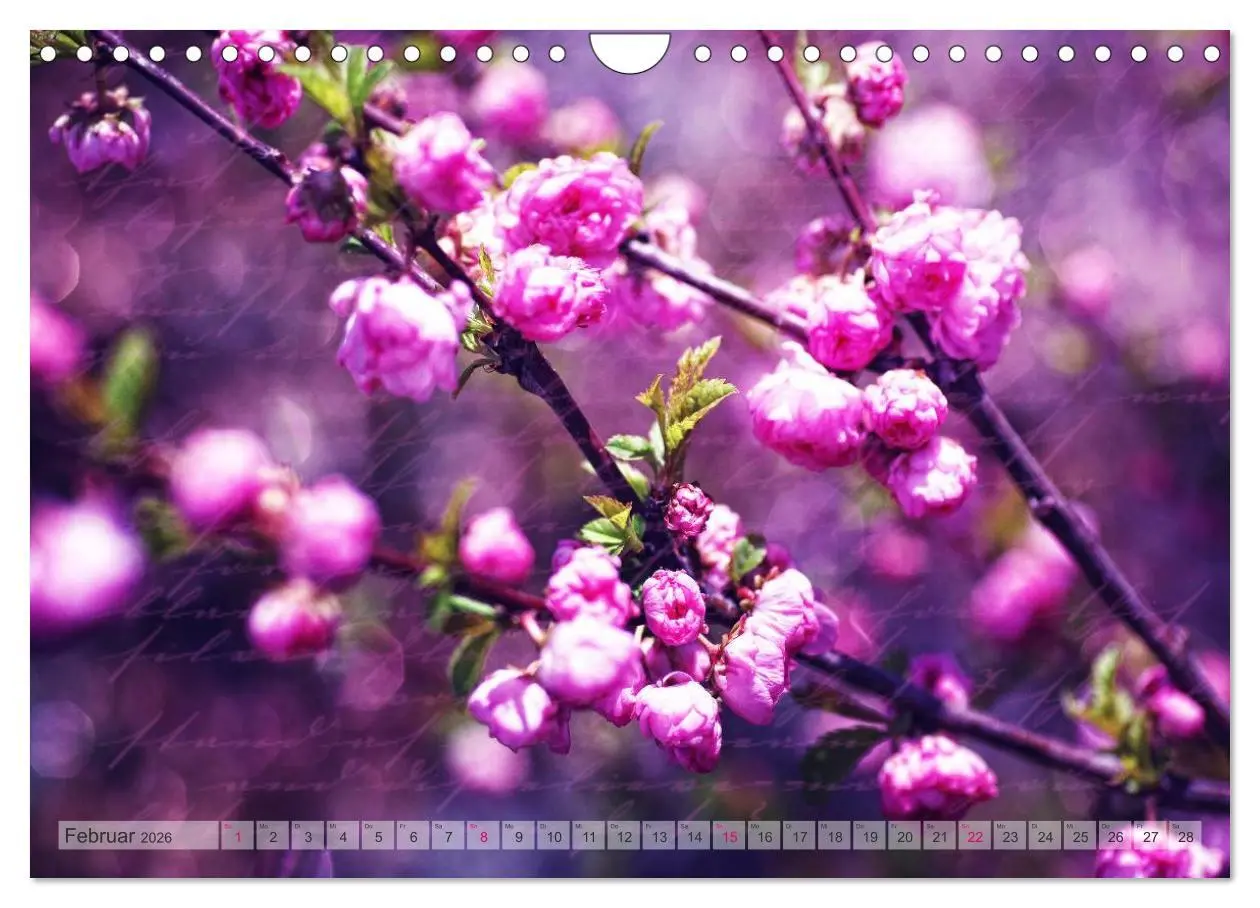 Bild: 9783516161120 | Vintage Nature - Romantische Naturaufnahmen (Wandkalender 2026 DIN...