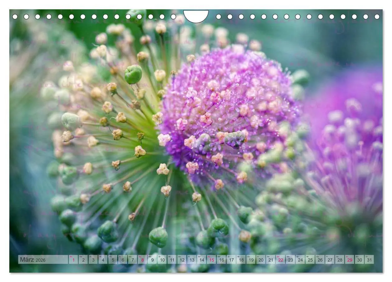 Bild: 9783516161120 | Vintage Nature - Romantische Naturaufnahmen (Wandkalender 2026 DIN...