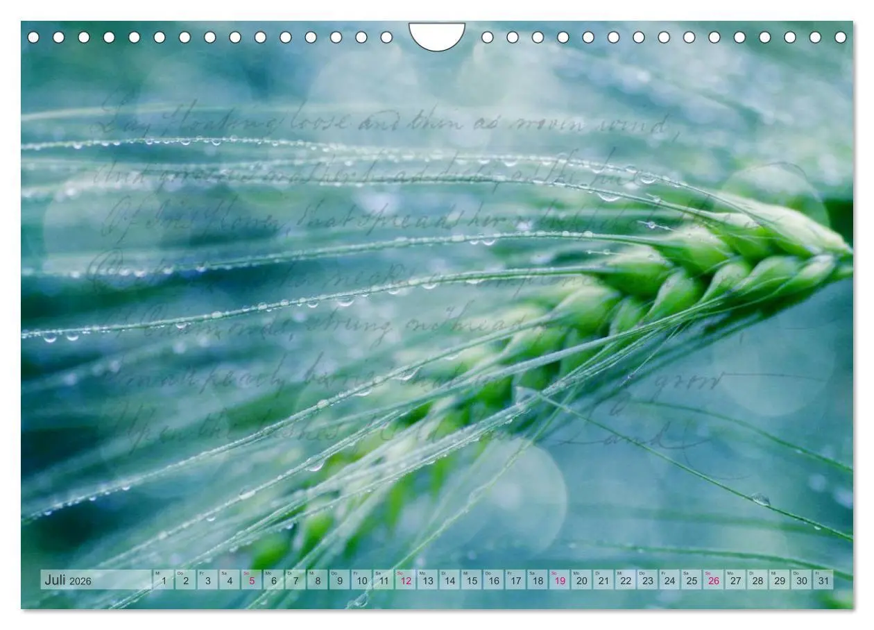 Bild: 9783516161120 | Vintage Nature - Romantische Naturaufnahmen (Wandkalender 2026 DIN...