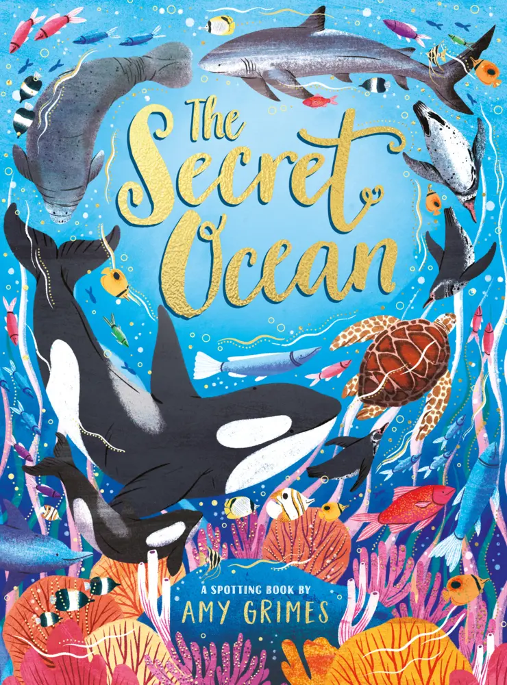 Cover: 9780702331220 | The Secret Ocean | Amy Grimes | Buch | Englisch | 2024 | Scholastic