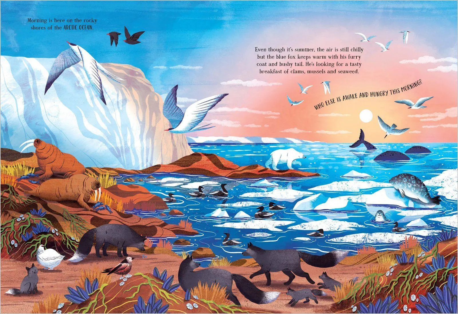 Bild: 9780702331220 | The Secret Ocean | Amy Grimes | Buch | Englisch | 2024 | Scholastic