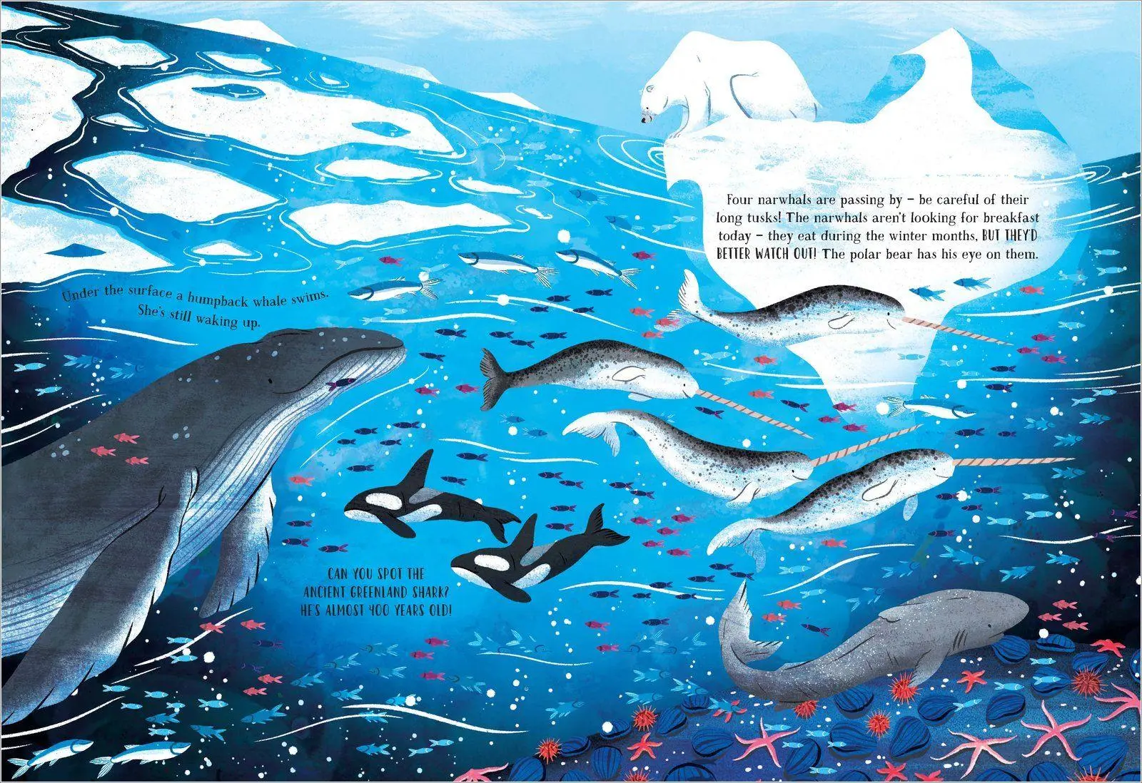 Bild: 9780702331220 | The Secret Ocean | Amy Grimes | Buch | Englisch | 2024 | Scholastic